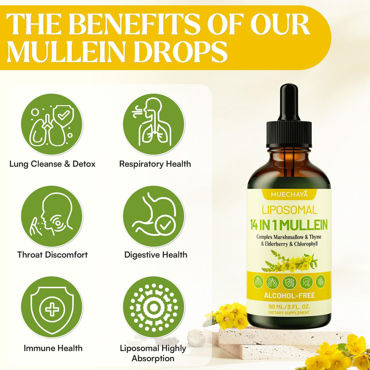 Gouttes de Mullein Muechaya avec des herbes naturelles