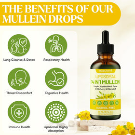 Gouttes de Mullein Muechaya avec des herbes naturelles