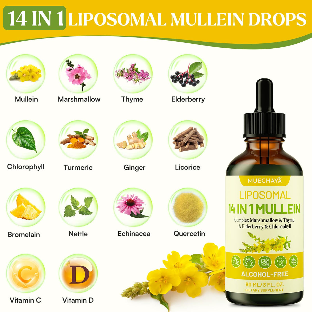 Gouttes de Mullein Muechaya avec une cuillère doseuse