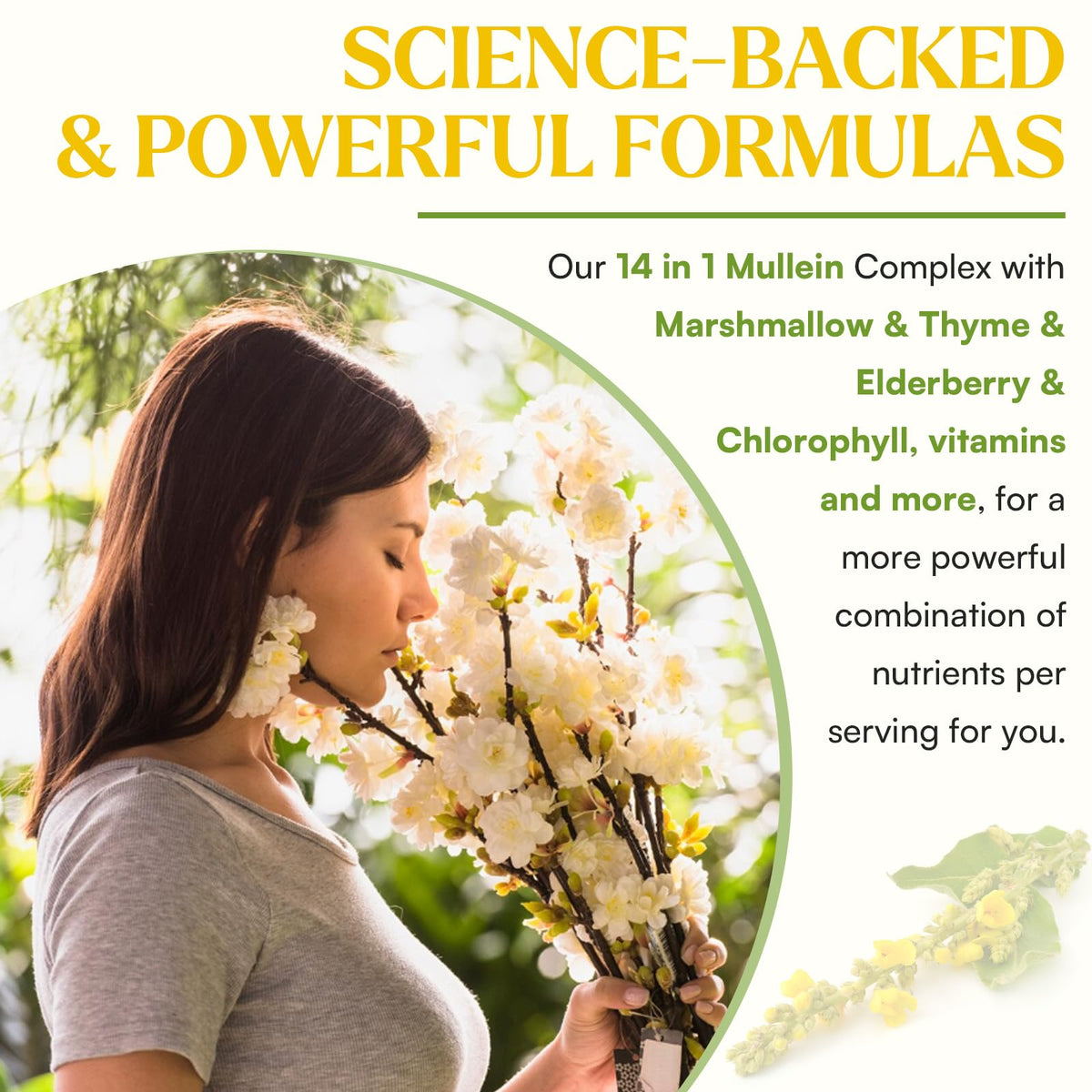 Gouttes de Mullein Muechaya en format liquide