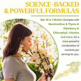 Gouttes de Mullein Muechaya en format liquide