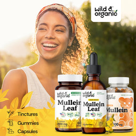 Gouttes de mullein Wild & Organic avec un fond de plantes