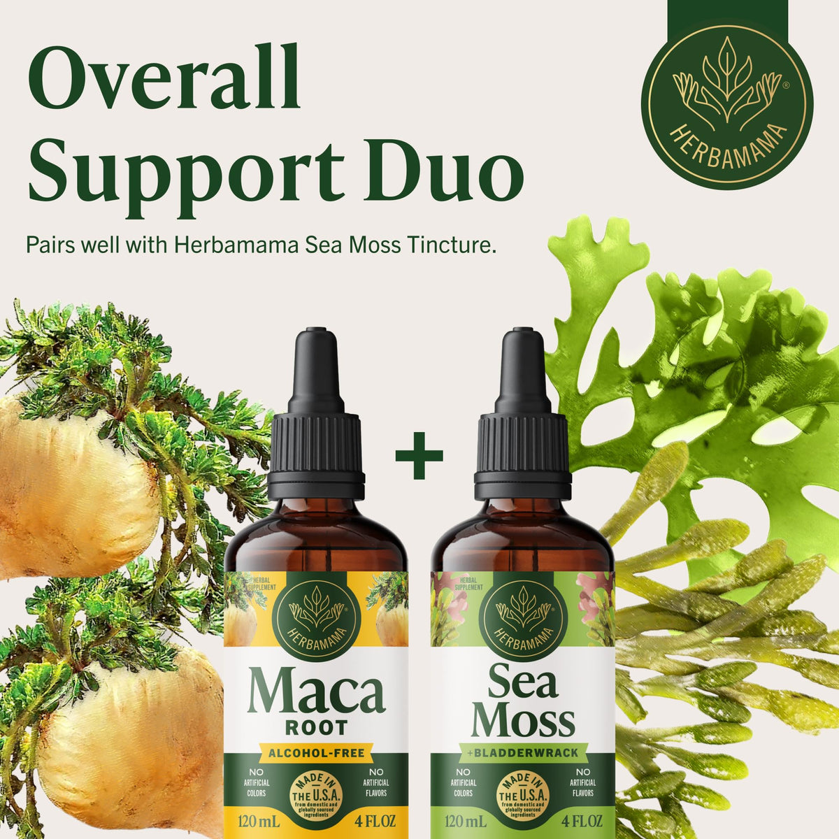 Gouttes de racine de Maca HERBAMAMA avec des ingrédients sur une table
