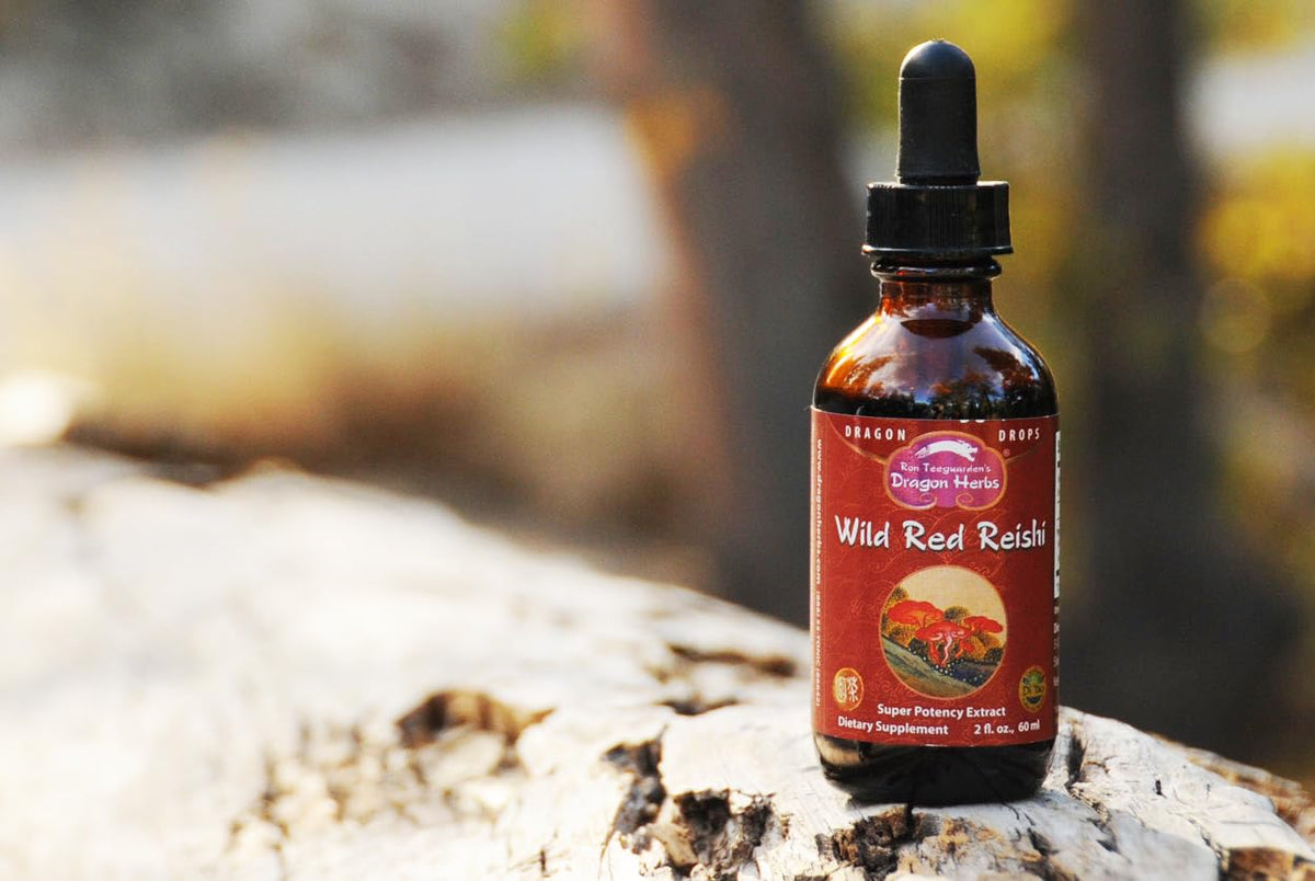 Gouttes de Reishi Rouge Sauvage Dragon Herbs, flacon avec goutteur