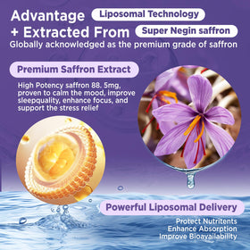 Gouttes de safran liposomales HOLLEGEND flacon arrière