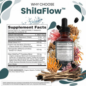 Gouttes de Shilajit avec fruits en arrière-plan