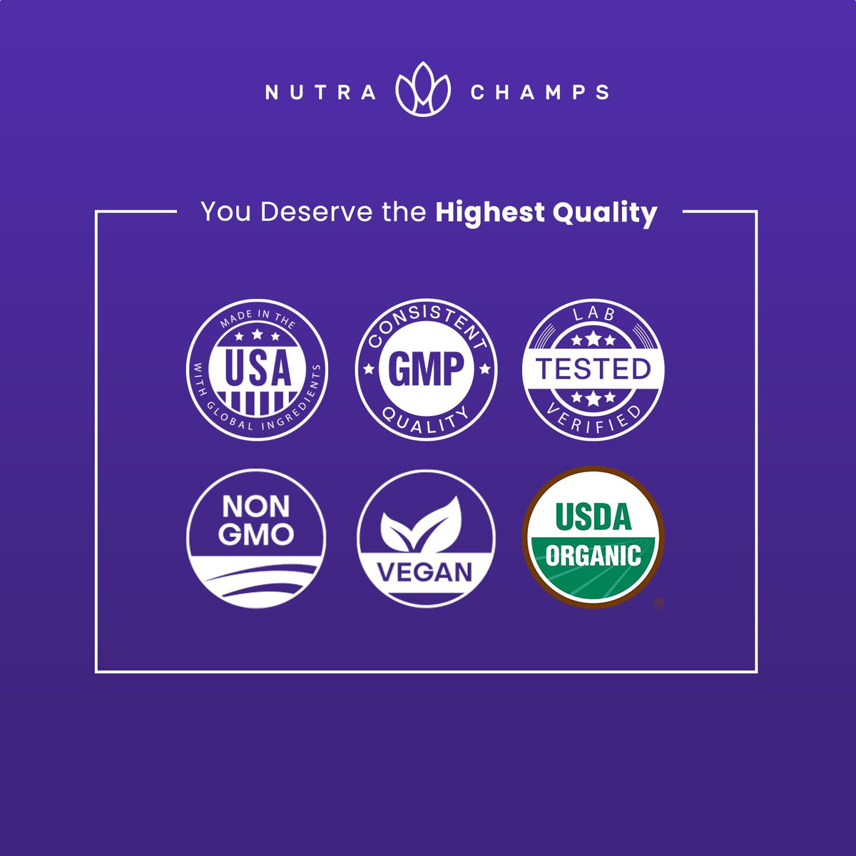 Gouttes de Sureau Noir Bio NutraChamps en contexte de vie quotidienne