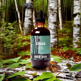 Gouttes de Teinture de Chaga Bio dans un verre