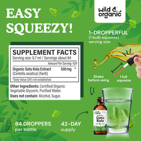 Gouttes de teinture de Gotu Kola Wild & Organic sur une cuillère