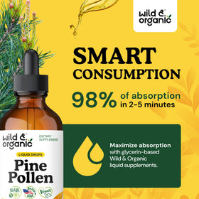 Gouttes de Teinture de Pollen de Pin Wild & Organic dans une cuillère