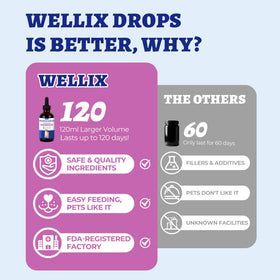 Gouttes de vitamines B Wellix avec un goût naturel de poulet