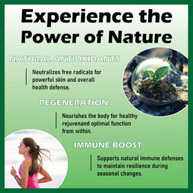 Gouttes Herbavita Soursop 10 en 1, dosage de 1 mL sur une cuillère