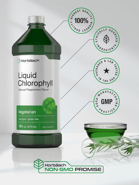 Gouttes Liquides de Chlorophylle Horbäach avec des feuilles de mûrier