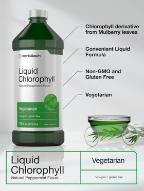 Gouttes Liquides de Chlorophylle Horbäach versées dans un verre