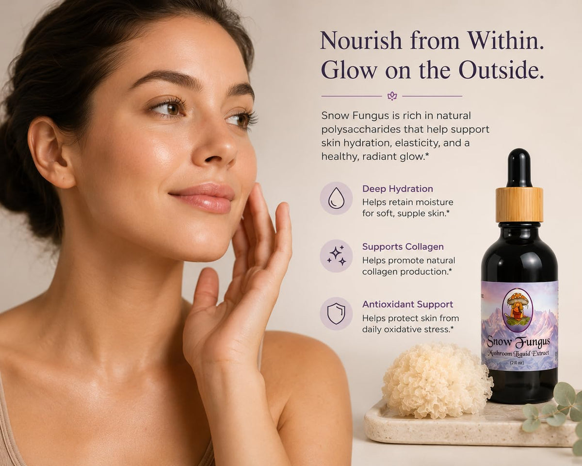 Gouttes liquides de l'extrait de champignon Tremella Sporenity
