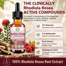 Gouttes liquides de Rhodiola Rosea avec pipette en gros plan