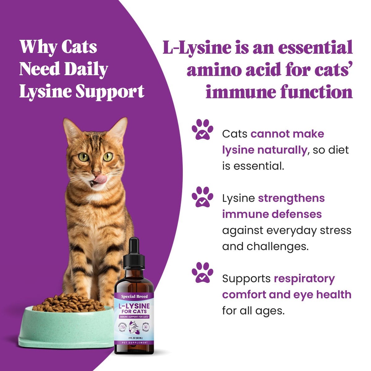 Goutteur de L-Lysine pour chats Special Breed avec étiquette