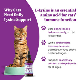 Goutteur de L-Lysine pour chats Special Breed avec étiquette
