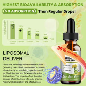 Goutteuse de teinture de Rhodiola Rosea avec indication de dosage