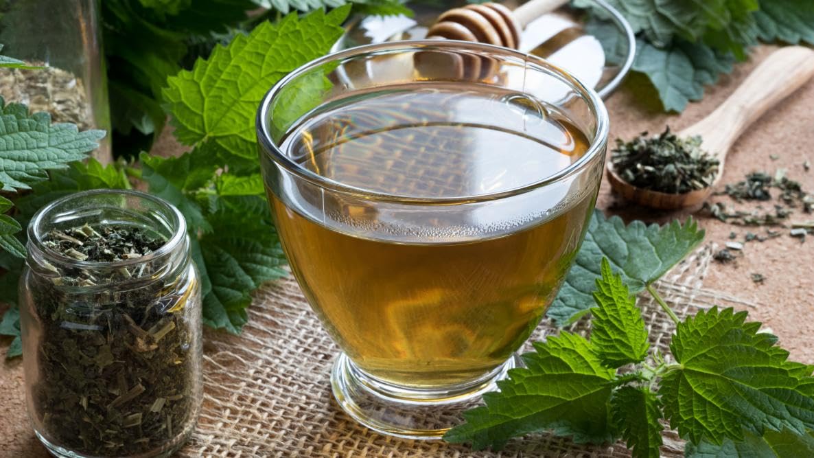 Graine d'ortie naturelle 250g avec des herbes