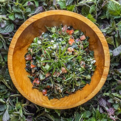 Graine d'ortie naturelle 250g en gros plan