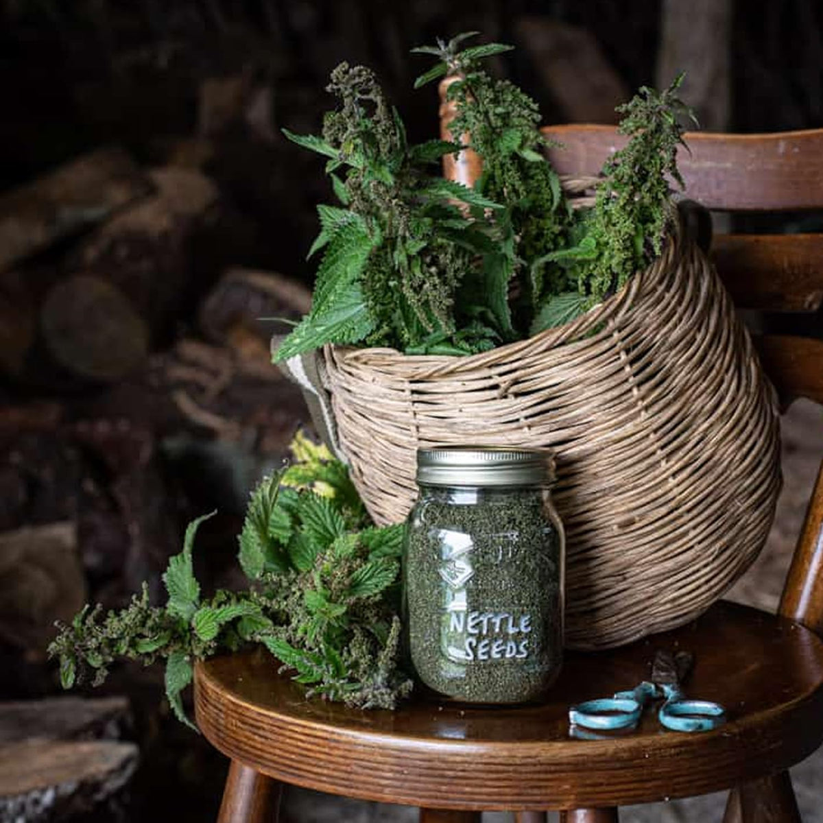 Graine d'ortie naturelle 250g sur une table en bois
