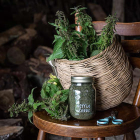 Graine d'ortie naturelle 250g sur une table en bois