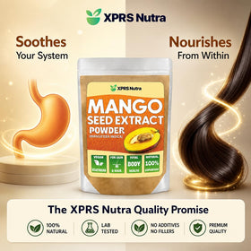 Graine de mangue à côté de la poudre d'extrait XPRS Nutra
