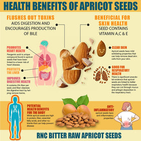 Graines d'abricot amer dans un mélange de fruits secs