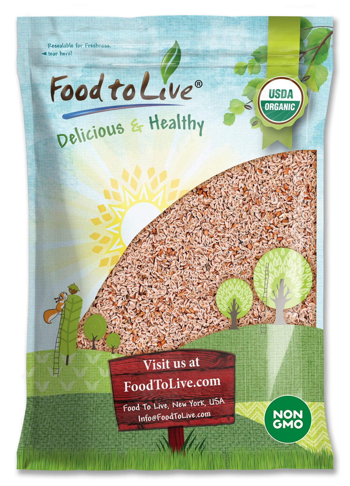 Graines de psyllium entières bio Food to Live 4119g vue de face