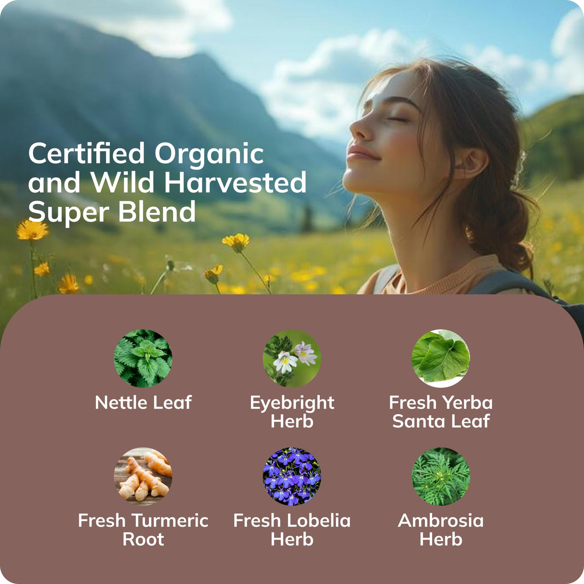 Grama Aller-Calm Gouttes Bio avec des herbes bio