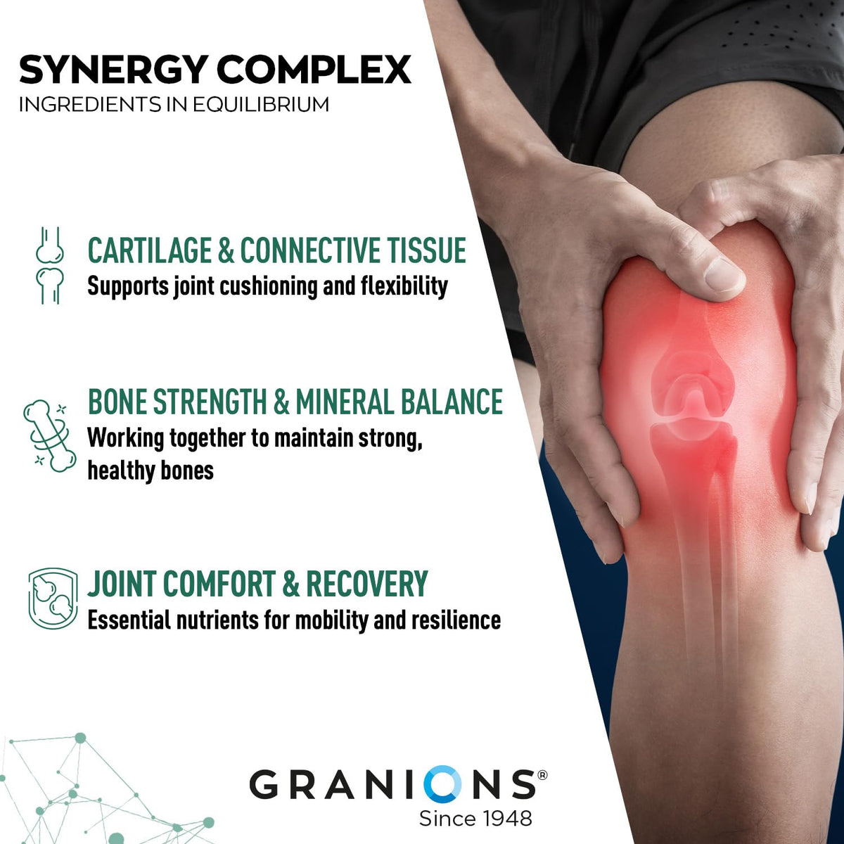 Granions Glucosamine Chondroitin MSM Poudre 6,630mg ingrédients