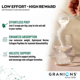 Granions Glucosamine Chondroitin MSM Poudre 6,630mg poudre mélangée