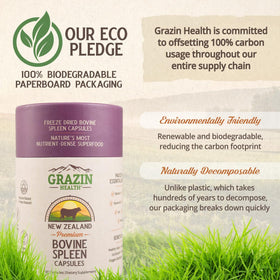 GRAZIN HEALTH capsules de rate bovine sur une table en bois