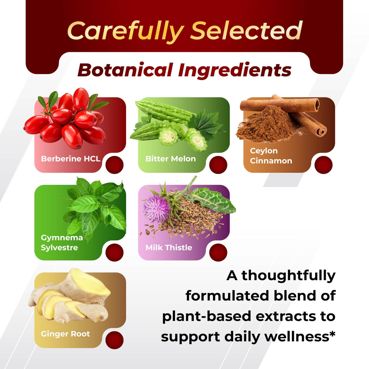 GriMed Berberine capsules sur une table avec des plantes