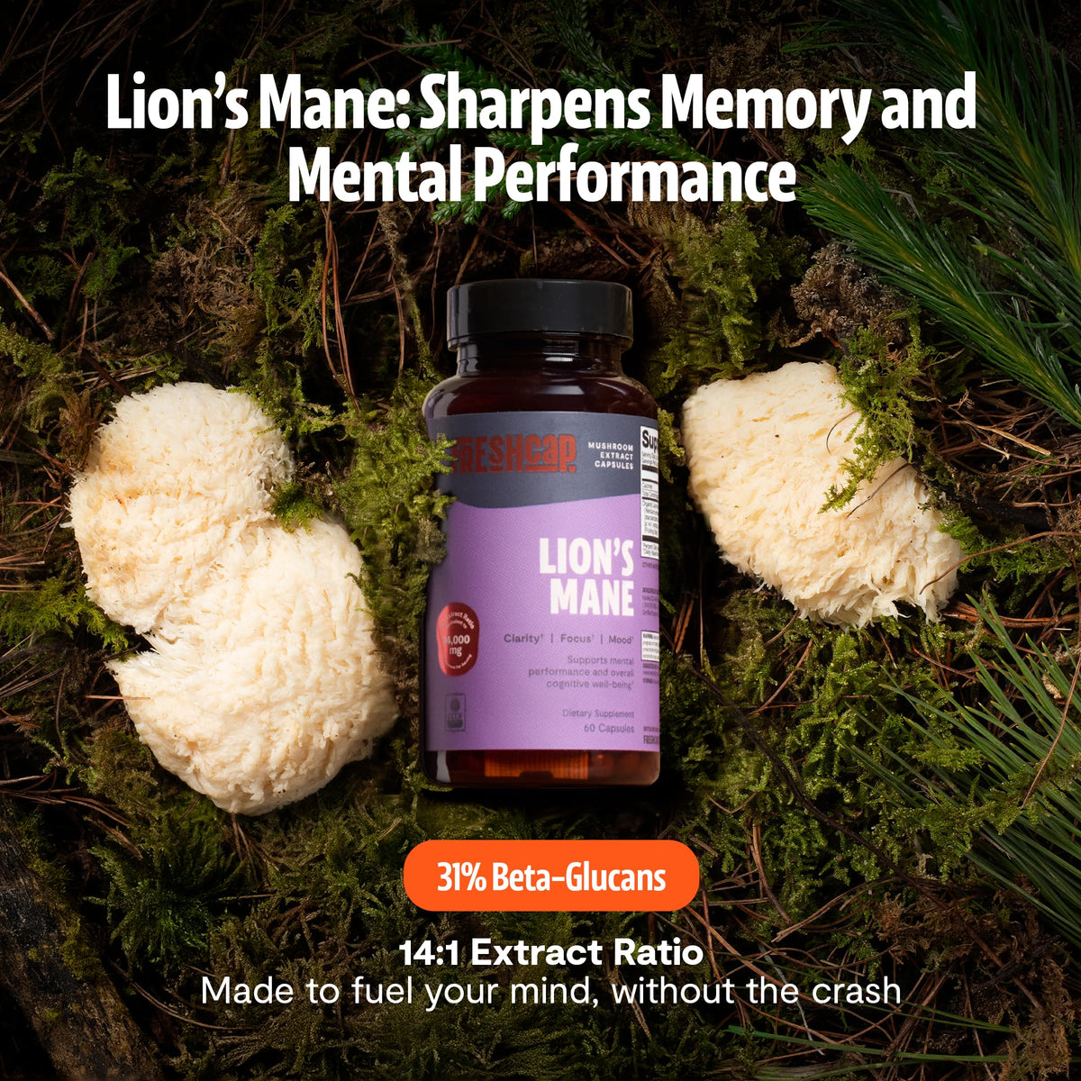 Gros plan des capsules de champignon lion FreshCap sur une surface blanche