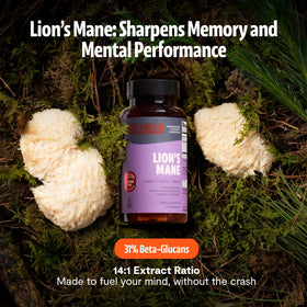 Gros plan des capsules de champignon lion FreshCap sur une surface blanche