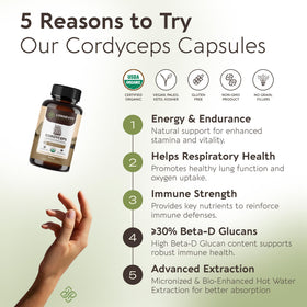 Gros plan des capsules de Cordyceps de Longevity Botanicals