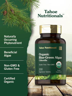 Gros plan des comprimés de Chlorella Carlyle 250 mg