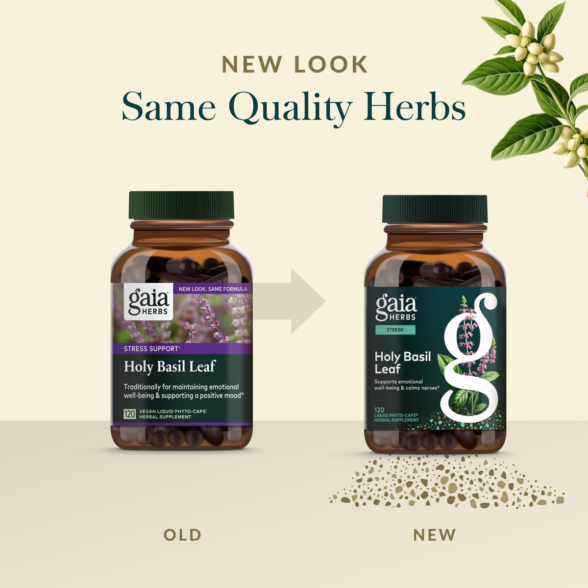 Gros plan des ingrédients naturels du produit Gaia Herbs