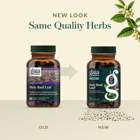 Gros plan des ingrédients naturels du produit Gaia Herbs