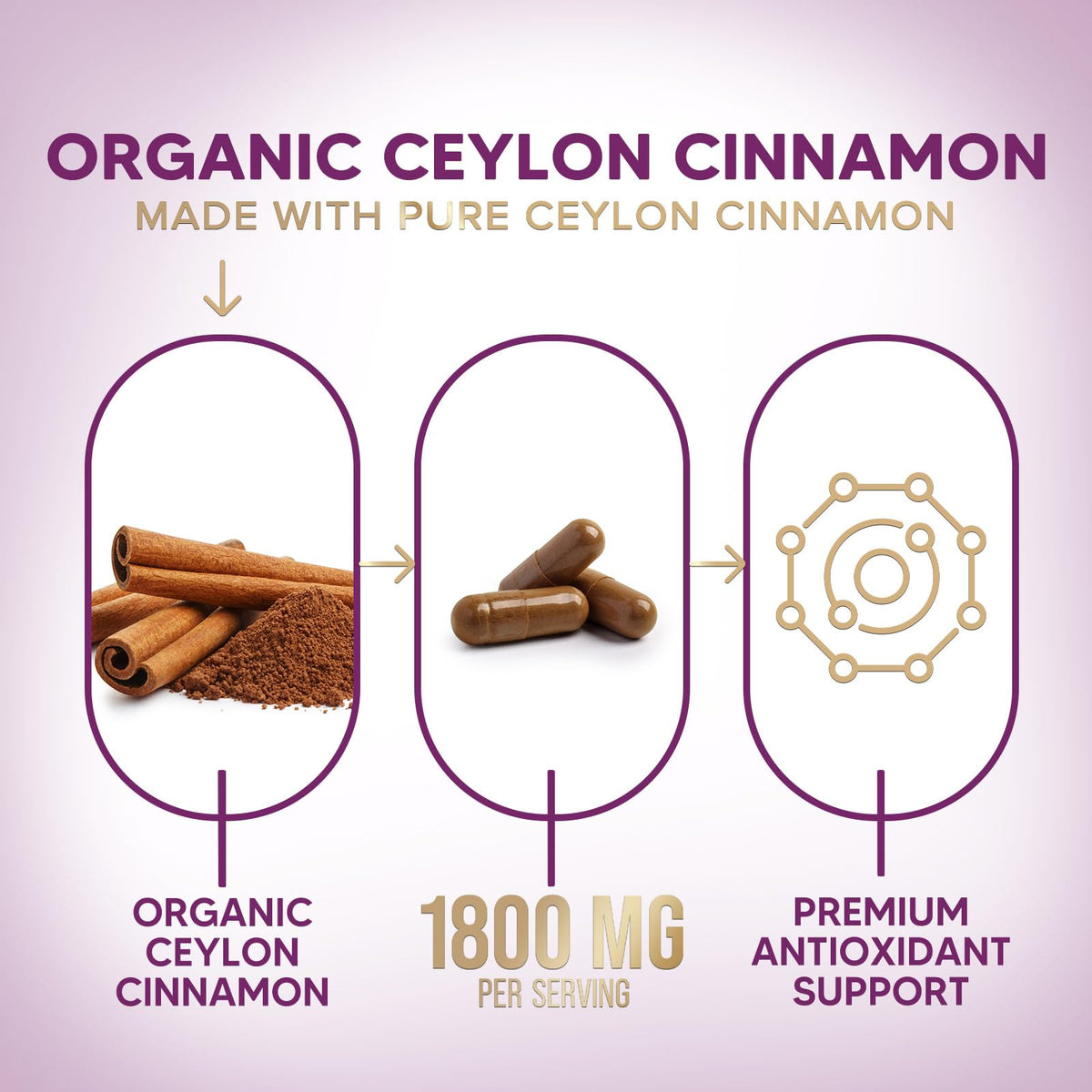 Gros plan sur la bouteille de cannelle Ceylan Nature's Choice
