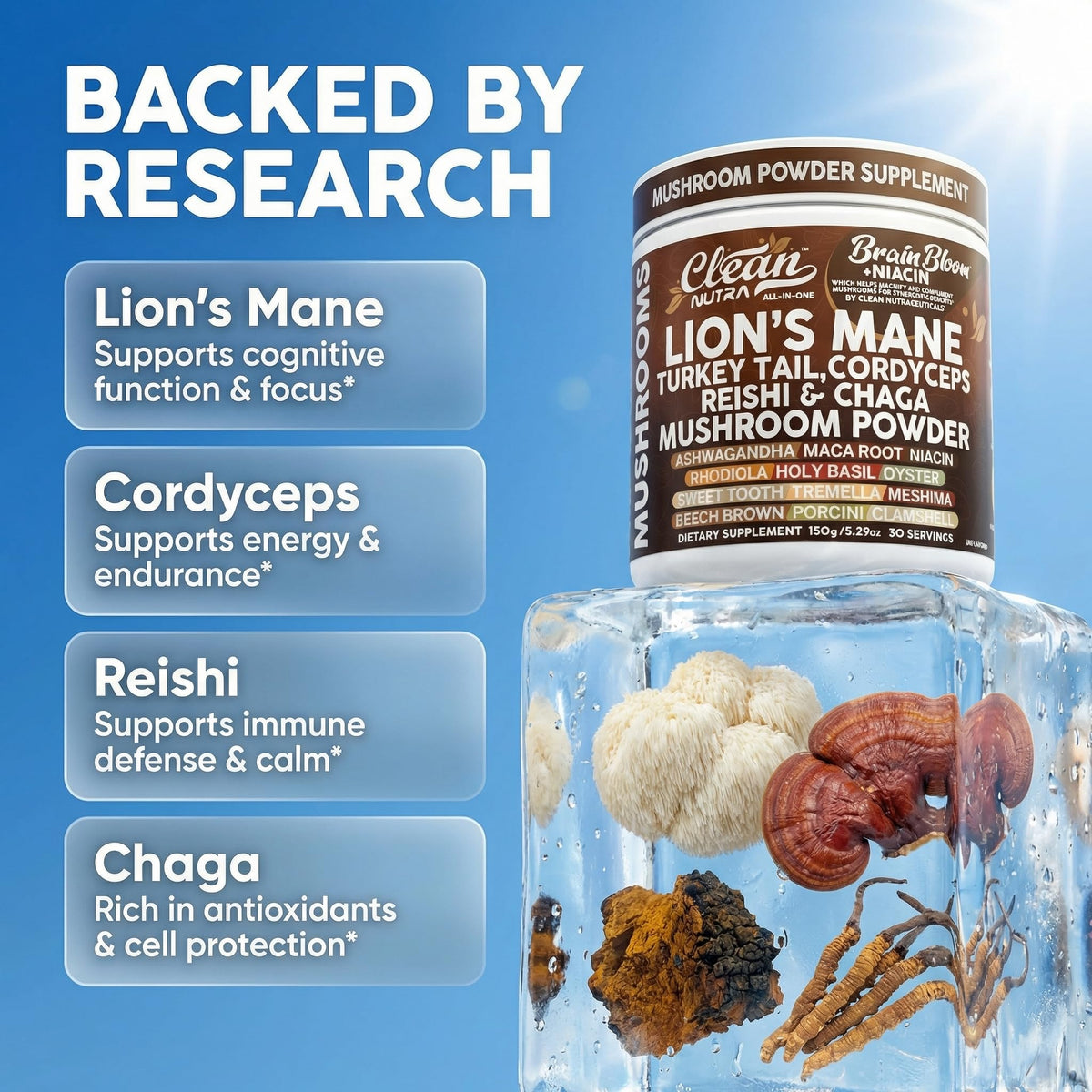 Gros plan sur la poudre de champignons Clean Nutraceuticals