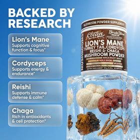 Gros plan sur la poudre de champignons Clean Nutraceuticals