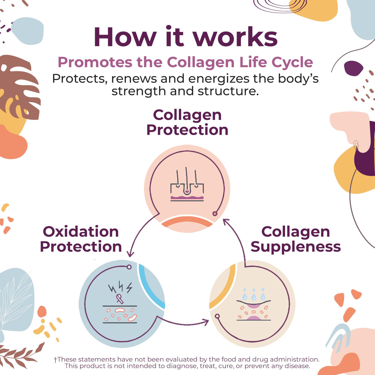 Gros plan sur la poudre de collagène Body Kitchen avec extrait de cassis