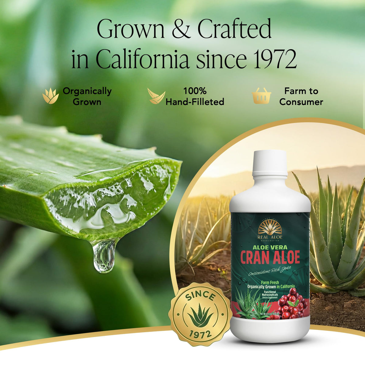 Gros plan sur le bouchon de la bouteille de jus d'aloe vera bio