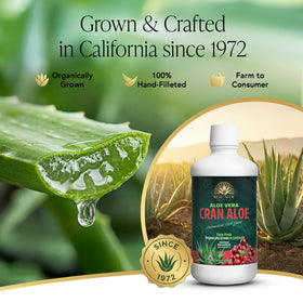 Gros plan sur le bouchon de la bouteille de jus d'aloe vera bio