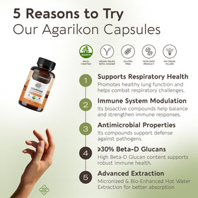 Gros plan sur les capsules d'Agarikon 900mg