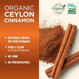 Gros plan sur les capsules de cannelle de Ceylan