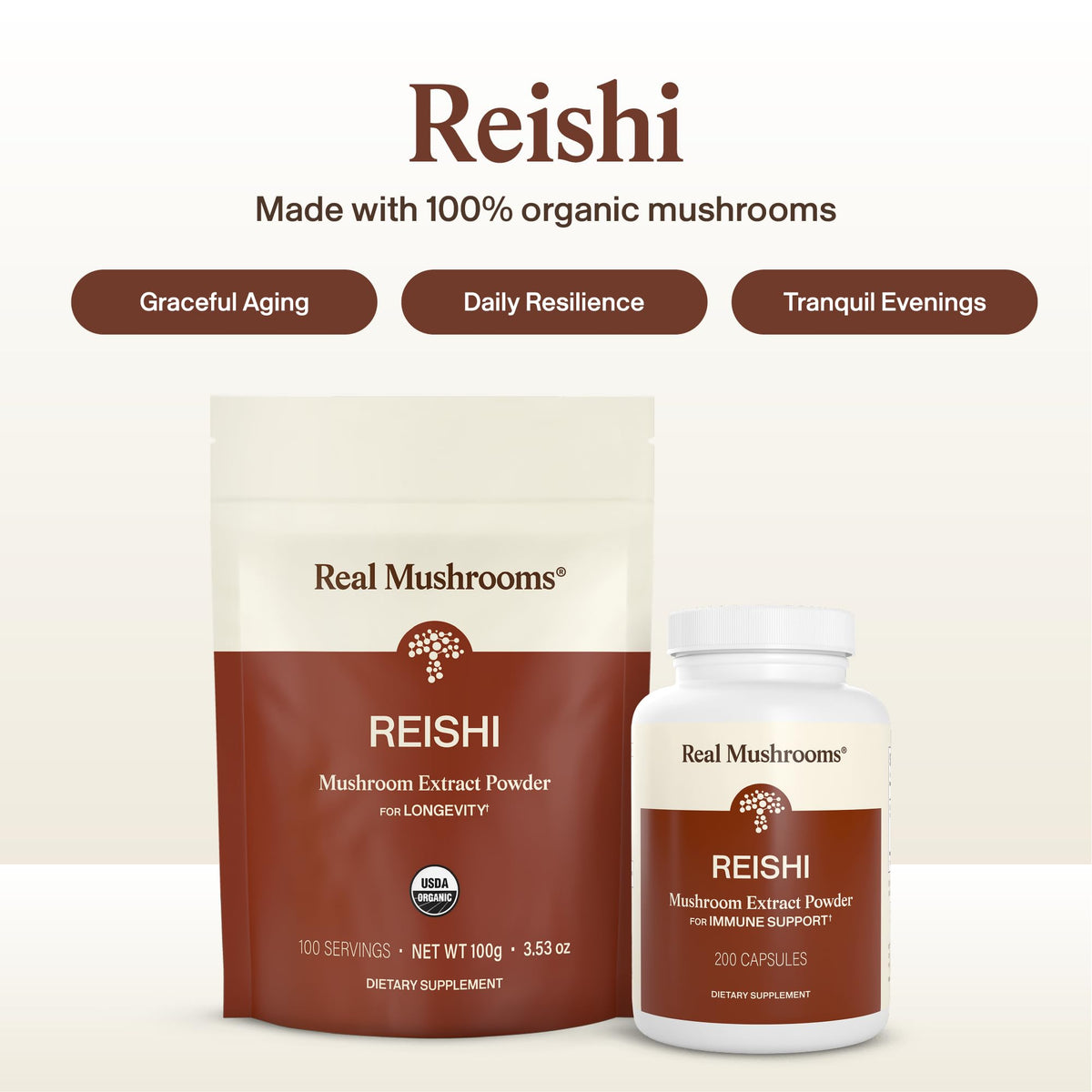 Gros plan sur les capsules de champignon Reishi